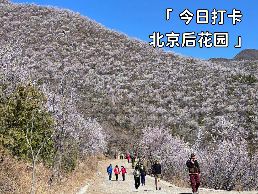 北京后花园景区门票图片