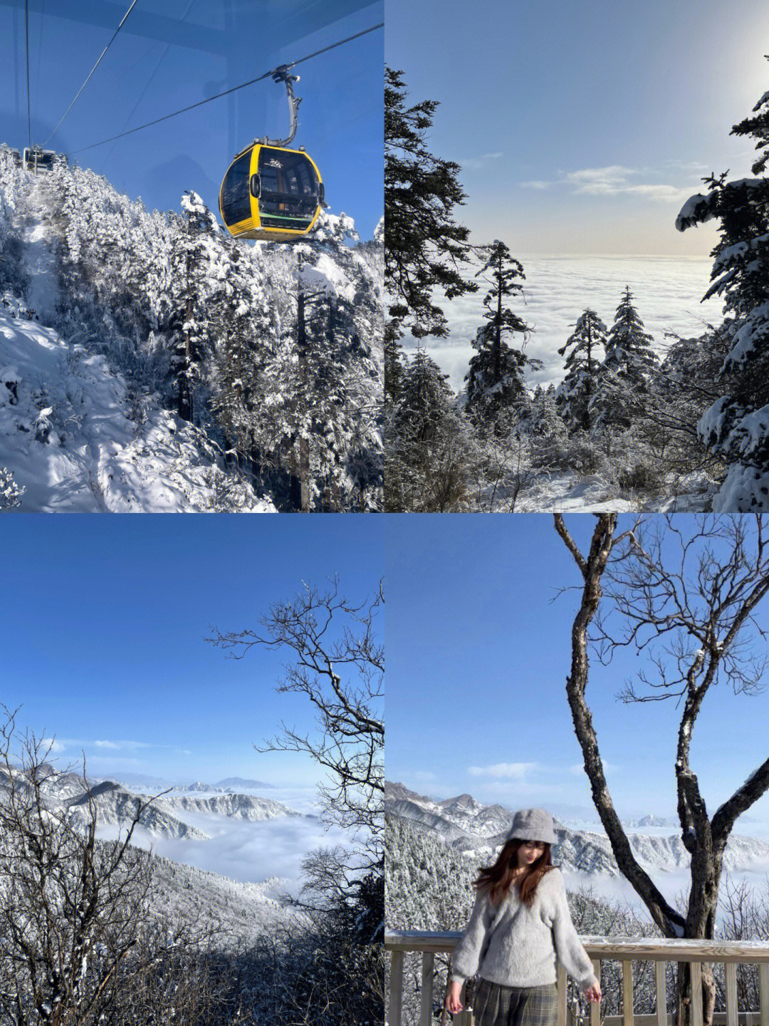 成都周边看雪一日游西岭雪山旅行