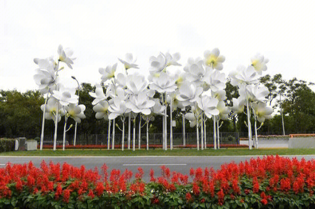 北京雕塑公园玉兰花图片