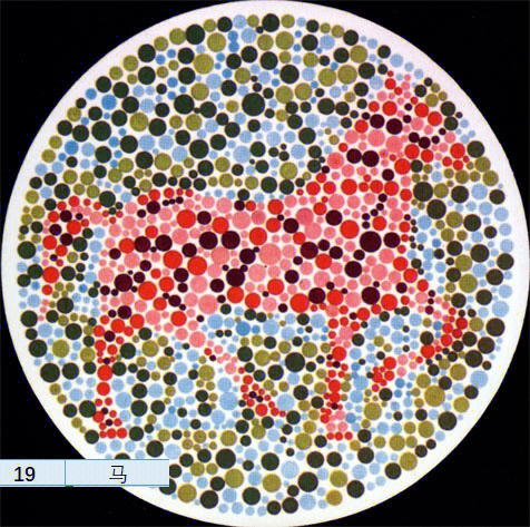 来测试一下你会不会色盲色盲色弱测试