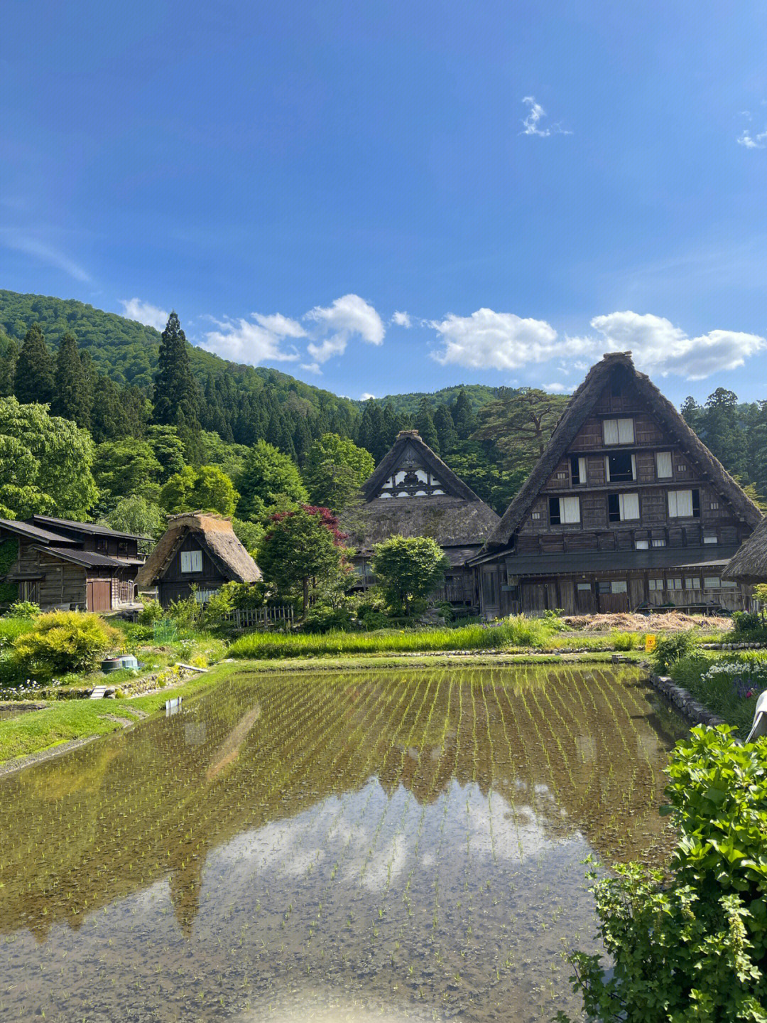 岐阜的白川乡