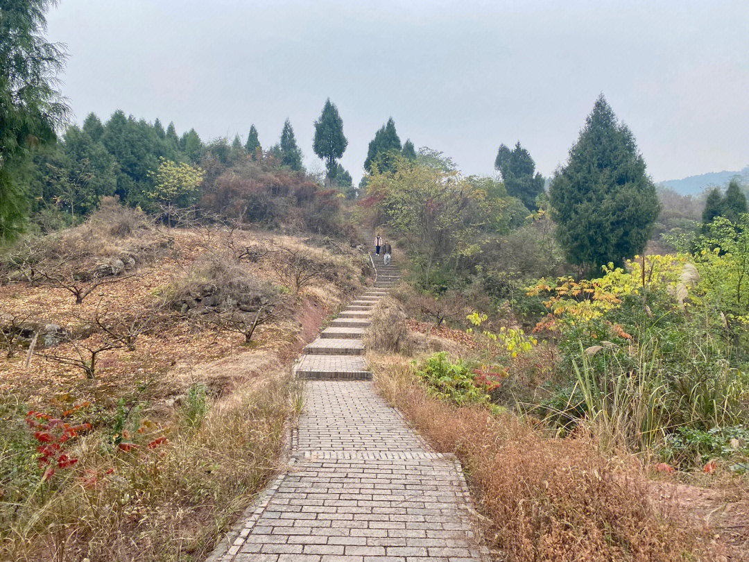 徒步成都龙泉山三星观景台