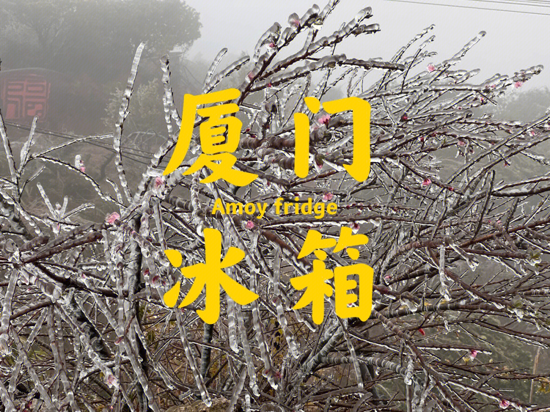 厦门下雪