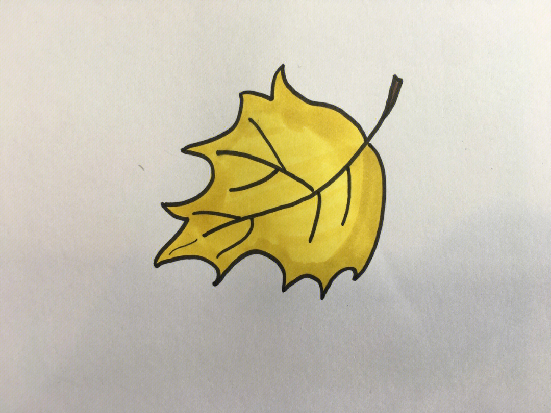 落叶的简笔画法图片
