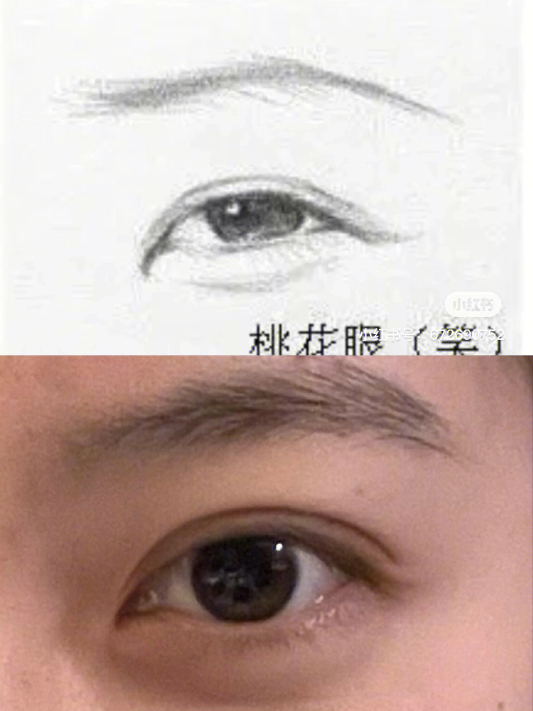 杏仁眼桃花眼照片区别图片