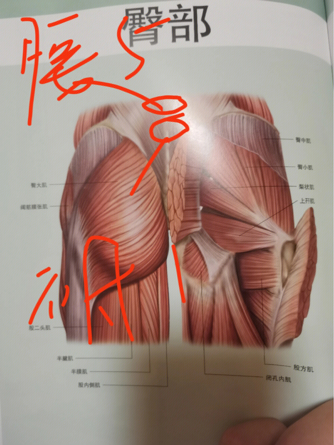 深入研究