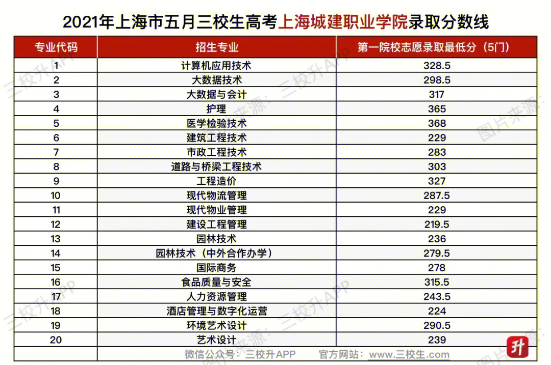 2013上海电子信息职业技术学院软件技术分数线_山东电子职业技术学院代码分数_2013安阳职业技术学院分数