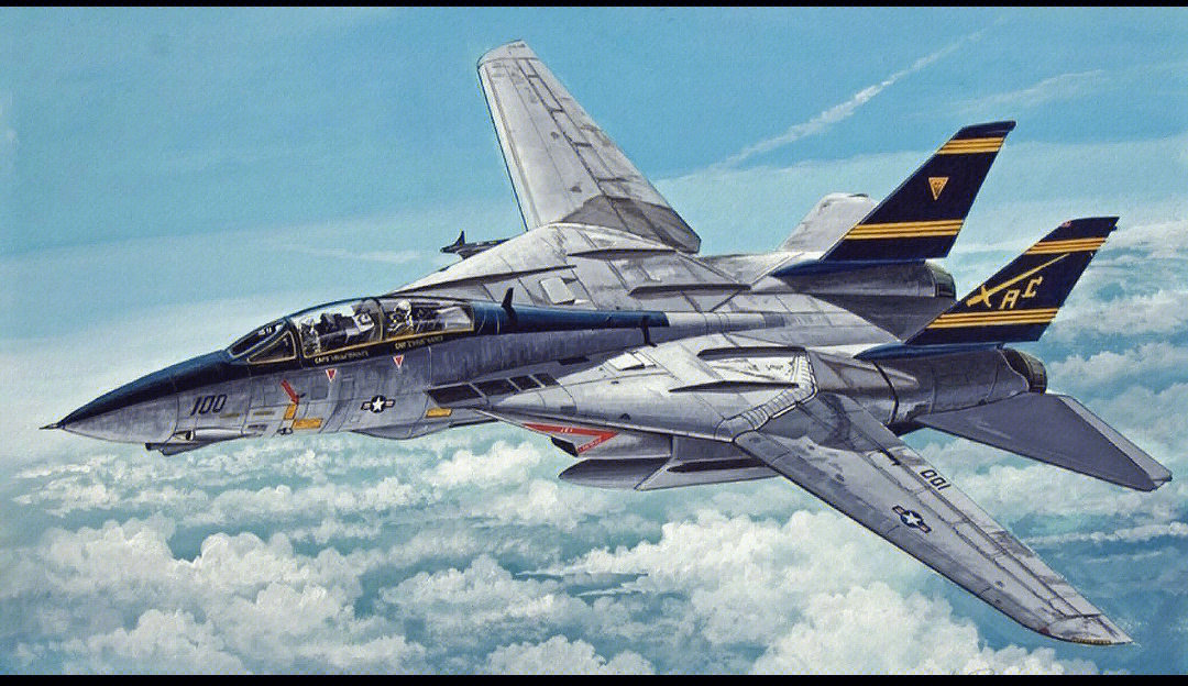 f14雄猫战斗机壁纸图片