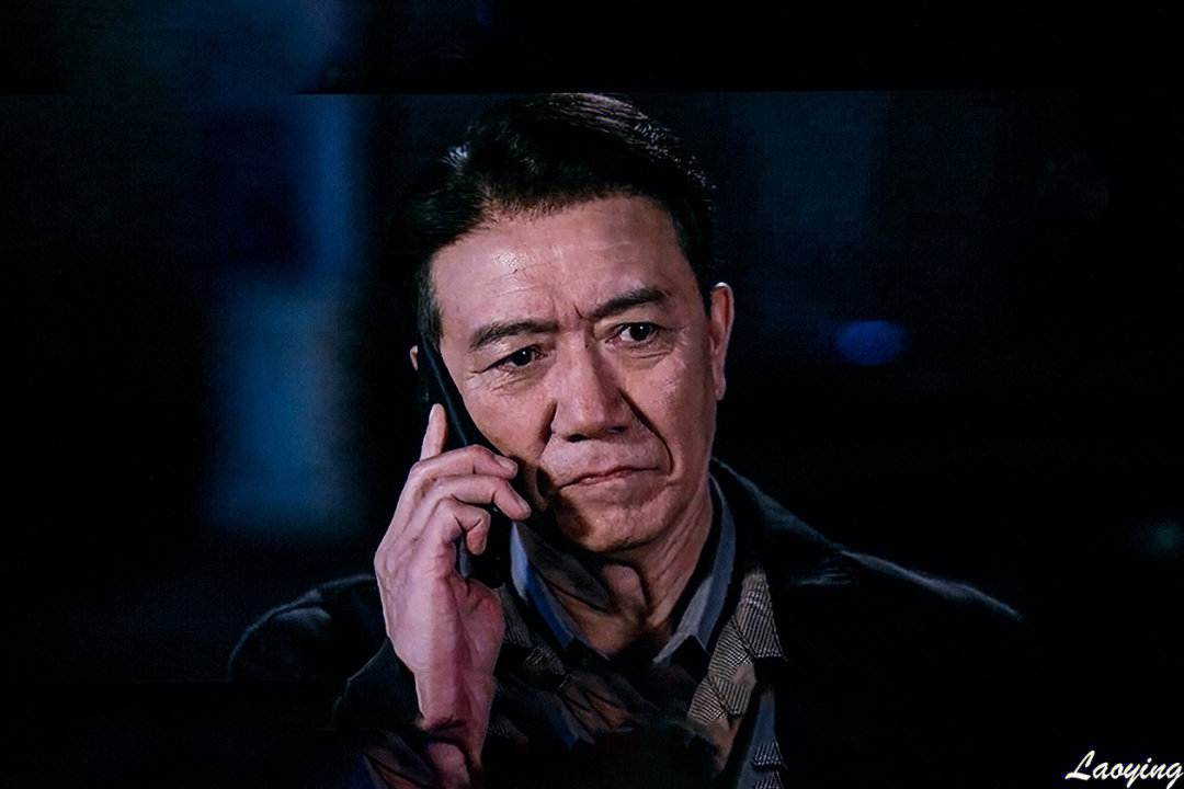 李幼斌在电视剧《罚罪》中饰演侦破大案的公安局政委(2)
