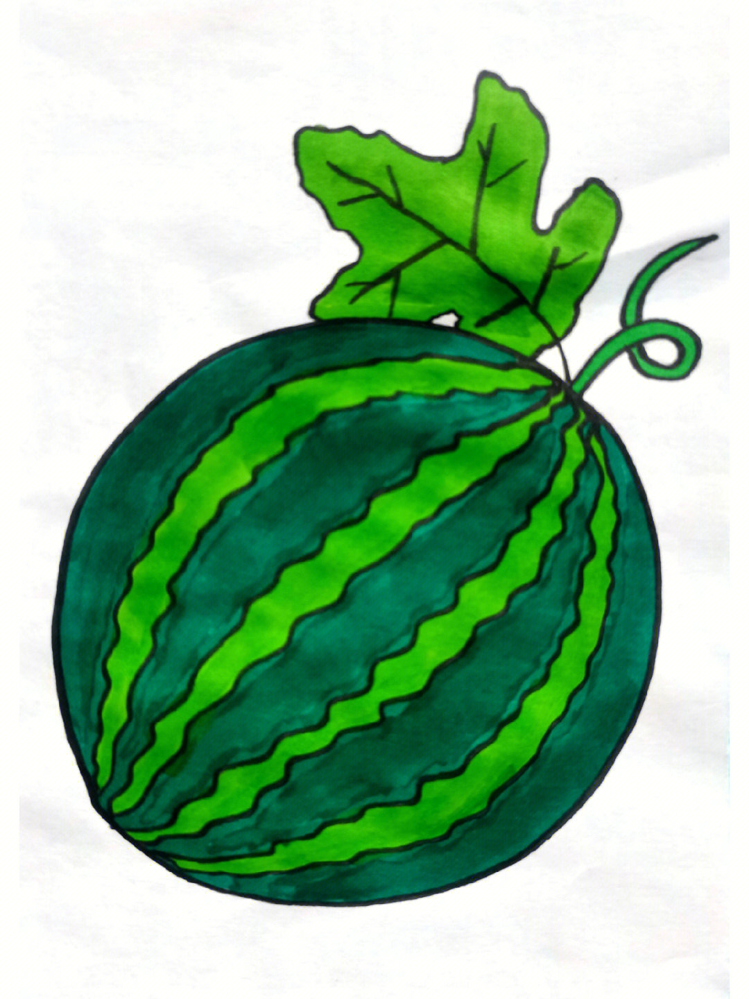 西瓜种植简笔画图片