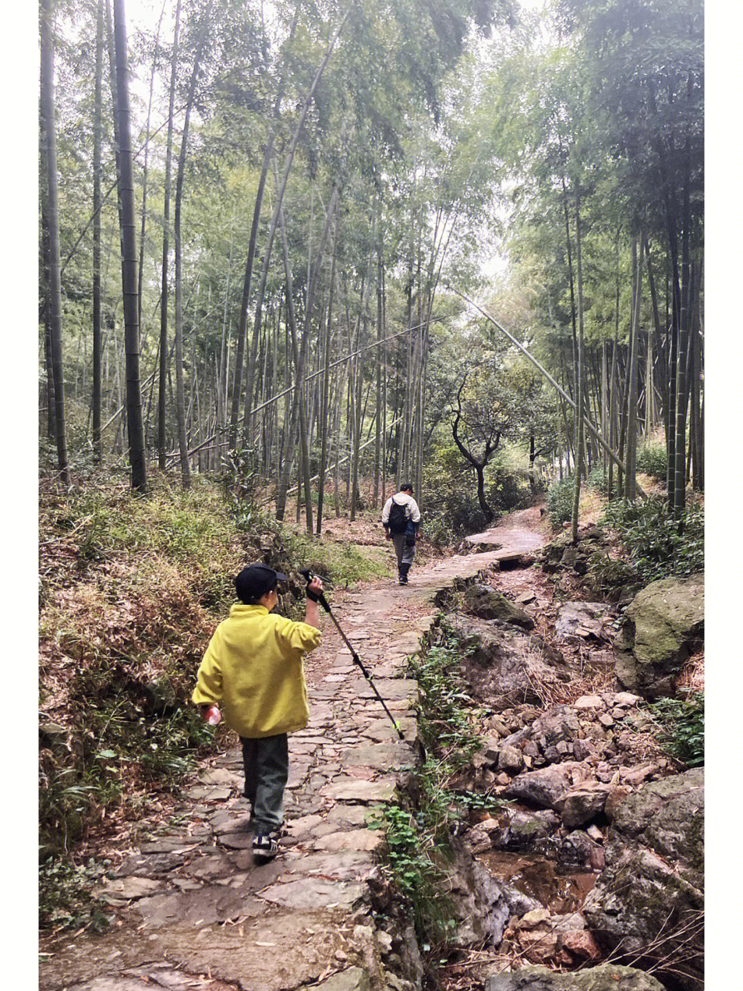 方家河头登山步道图片