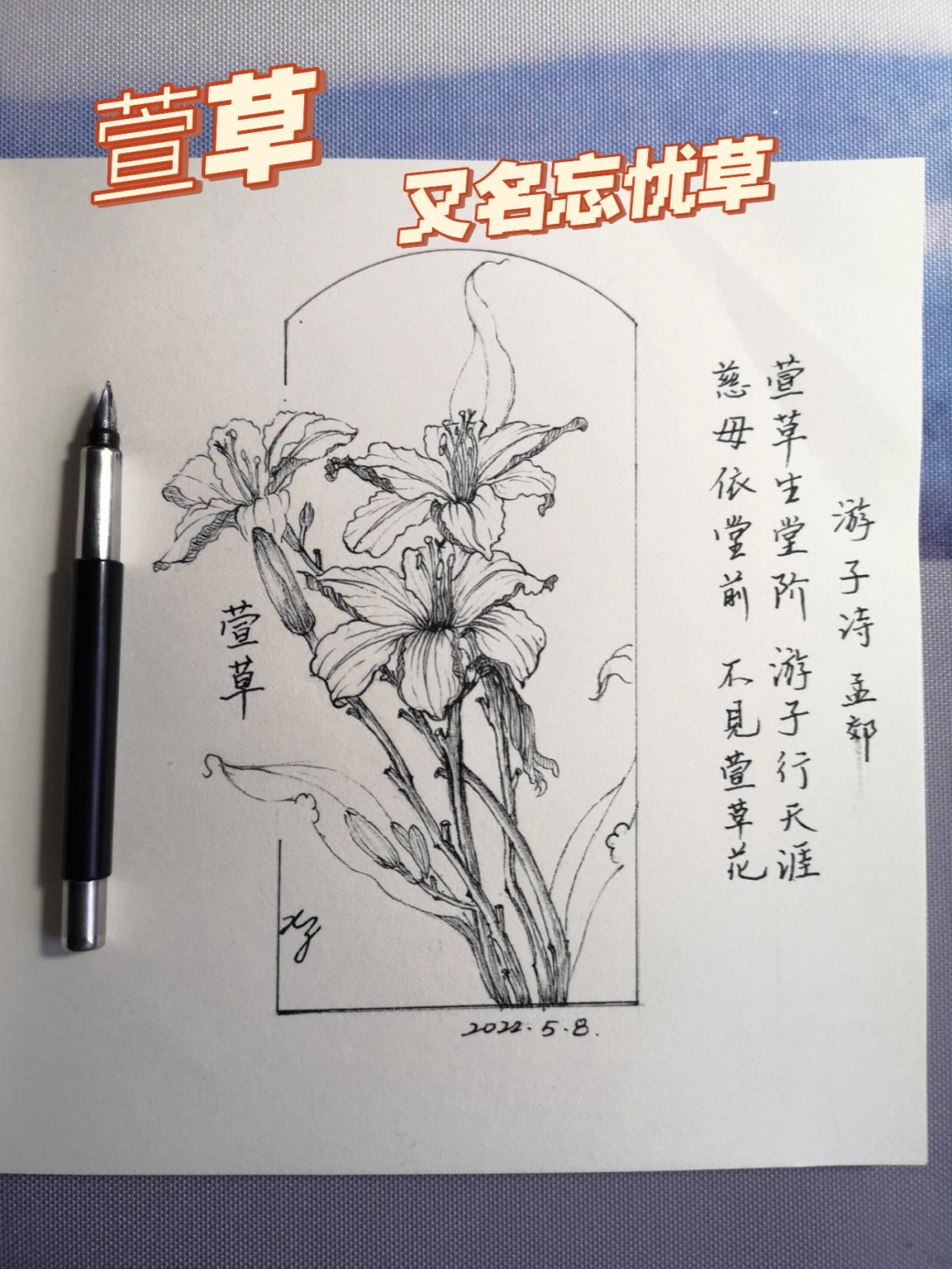 忘忧草简笔画怎么画图片