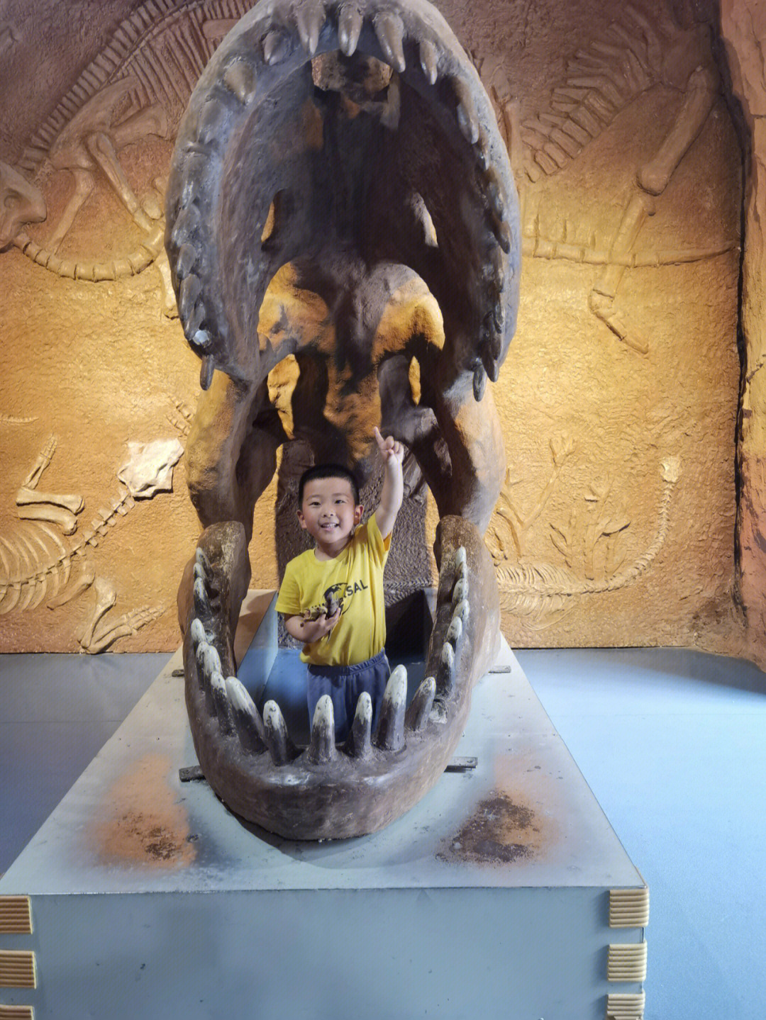 灵武恐龙博物馆电话图片