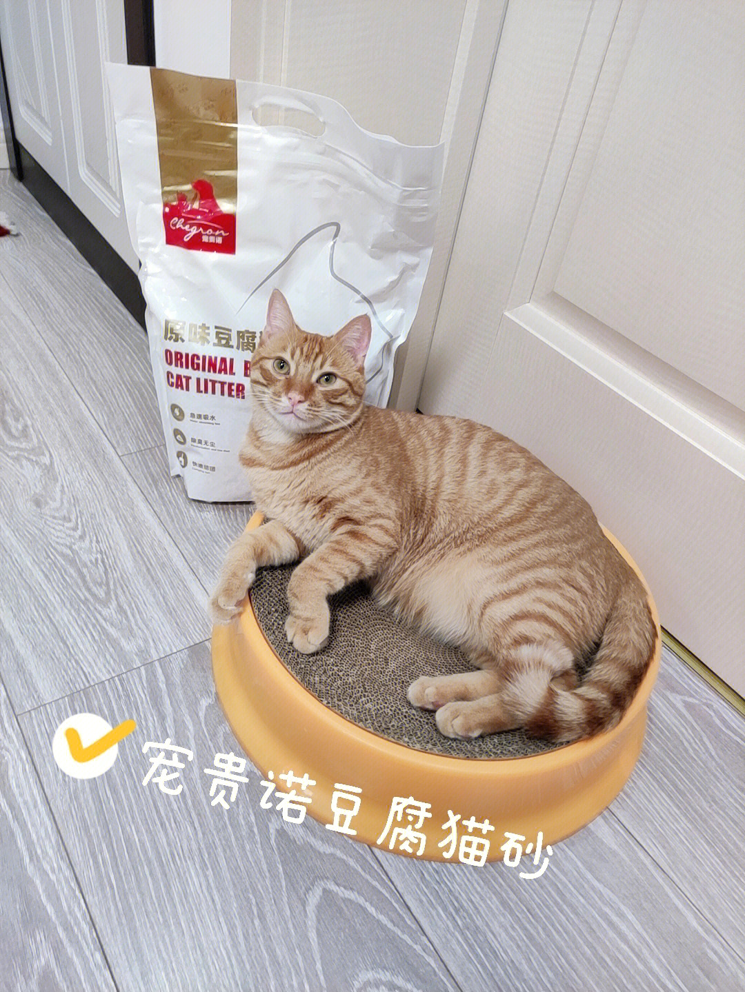 平价大碗好用的猫砂宠贵诺豆腐猫砂