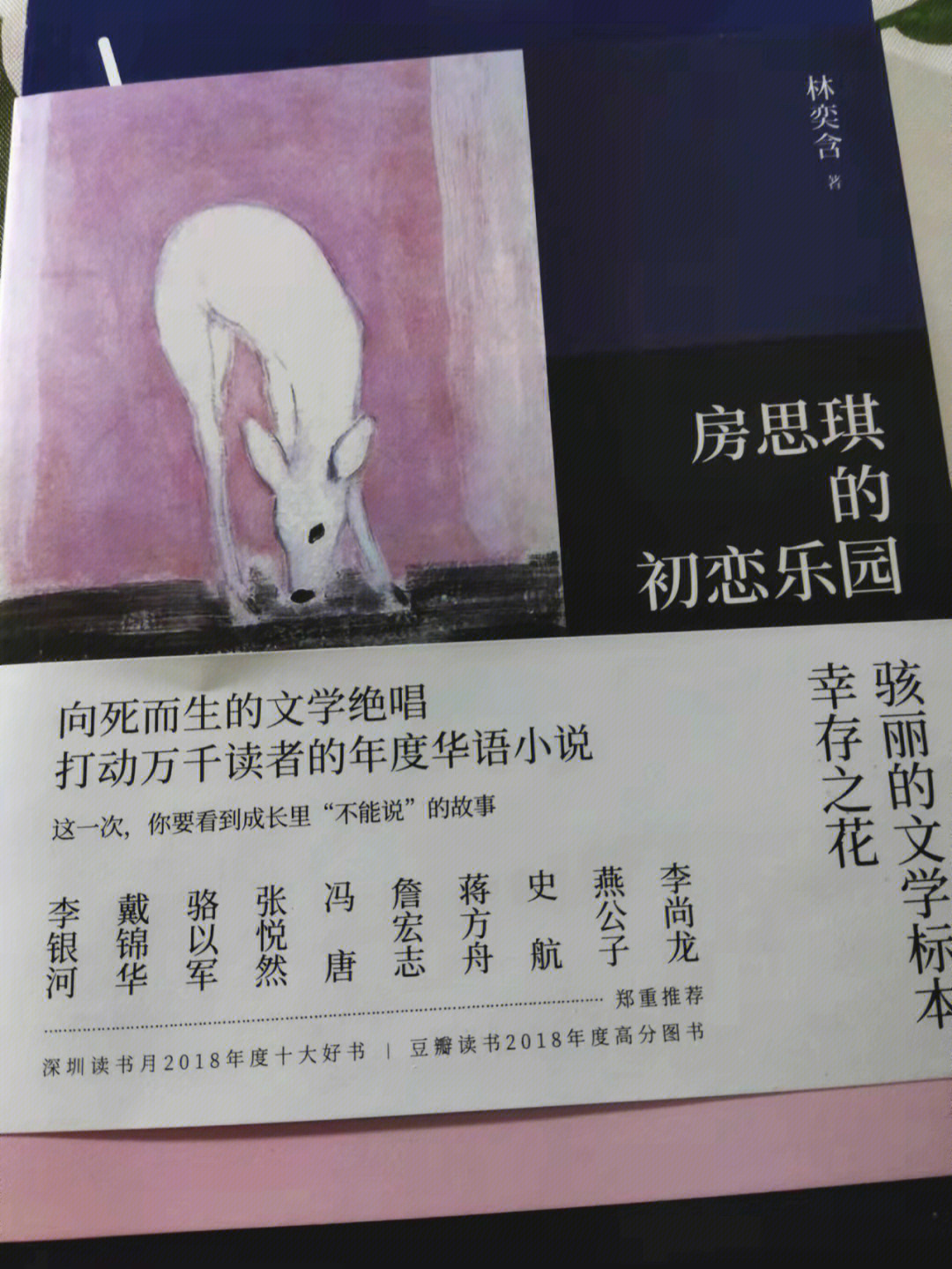 房思琪的初恋乐园