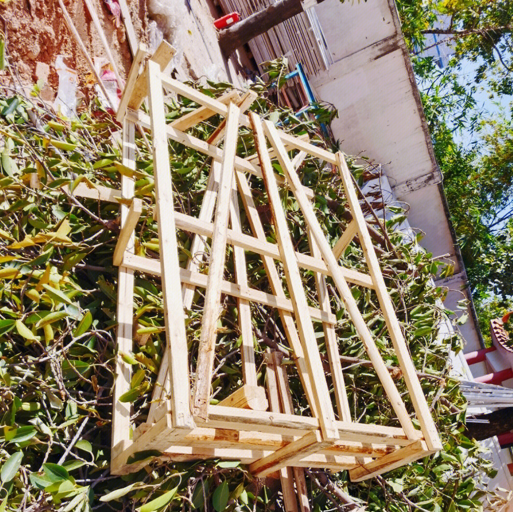 自制花架废物利用图片图片