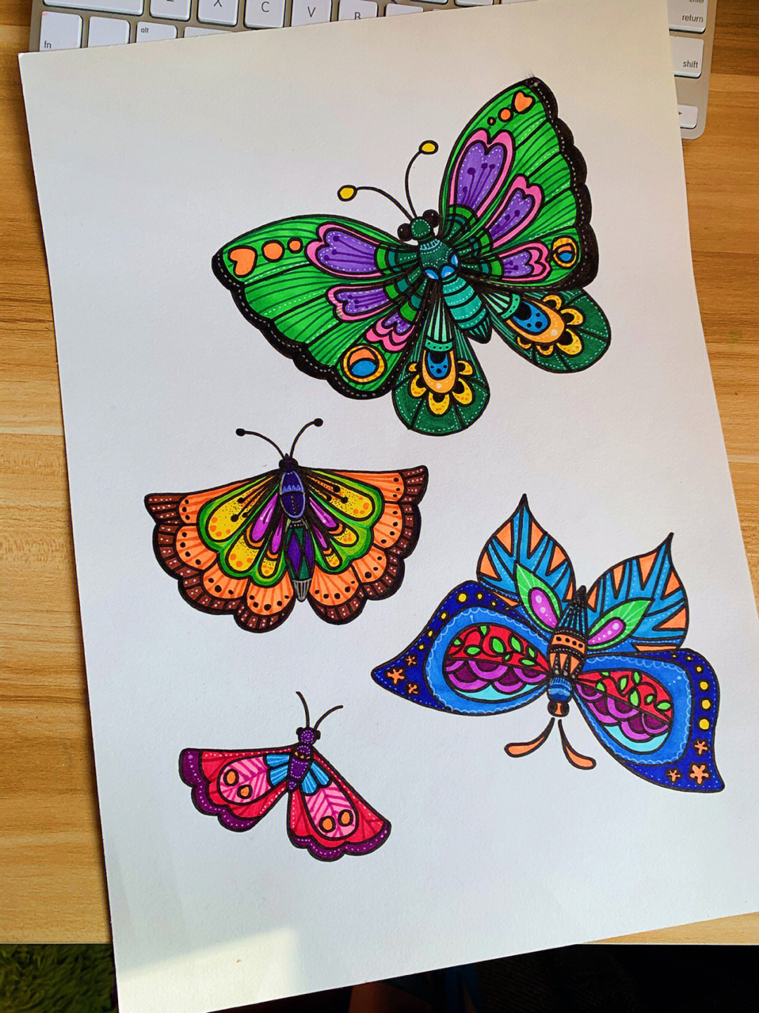 蝴蝶画法彩色图片