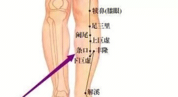 条口的准确位置图图片