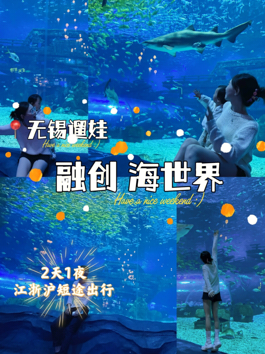 江浙沪海洋馆无锡融创海世界出游记