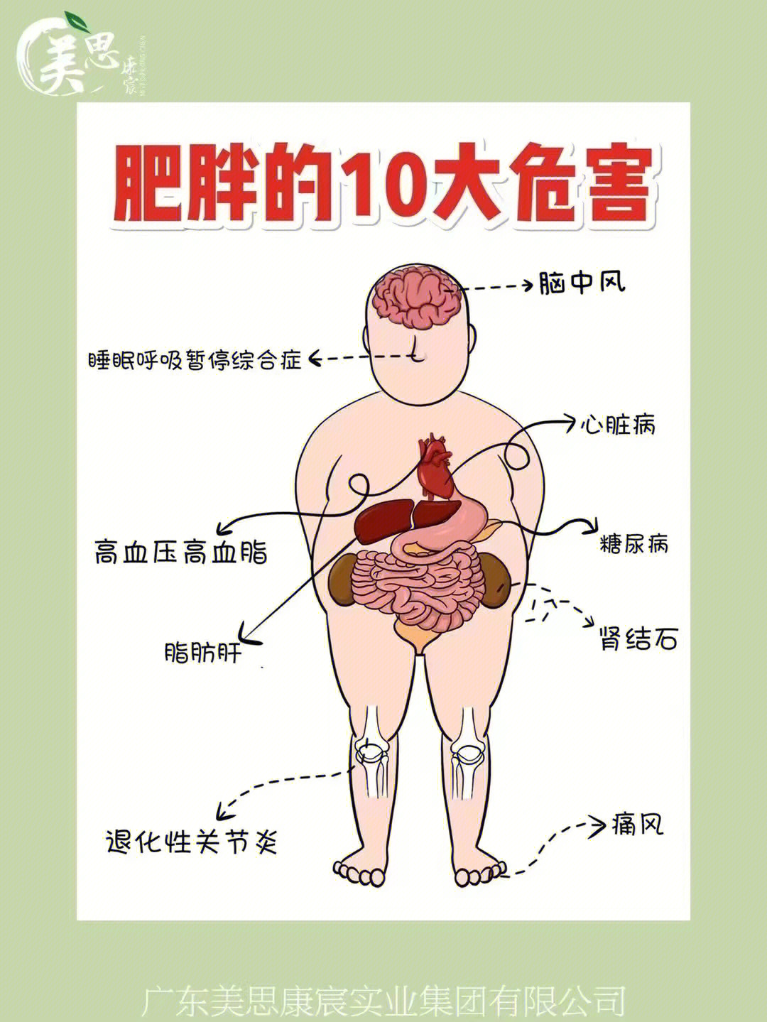 肥胖的八大危害图片图片