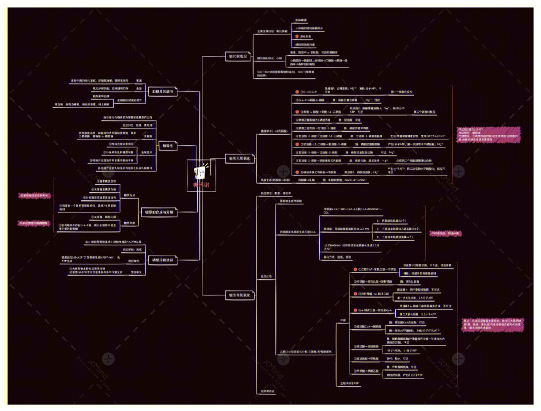 生化思维导图医学生直接爱了四