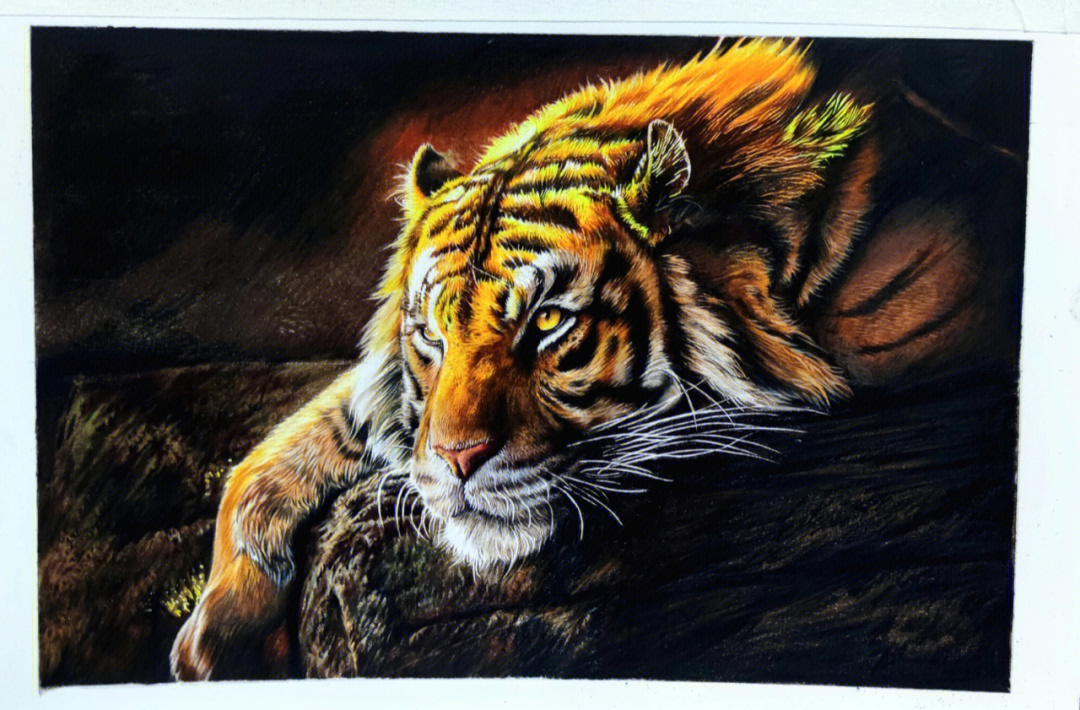 彩铅老虎画法图片