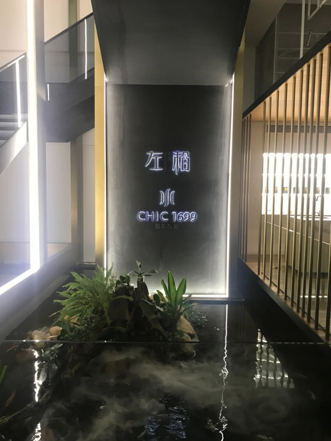 泉州探店黑珍珠餐厅左稻