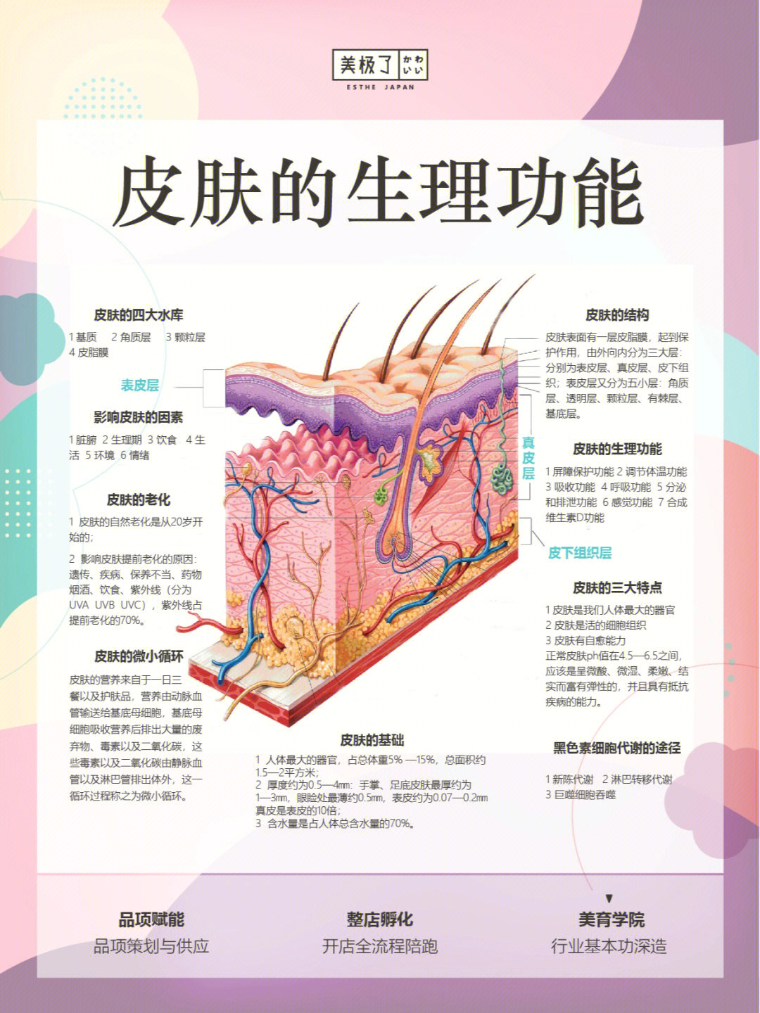 皮肤知识73皮肤管理师笔记皮肤的生理功能