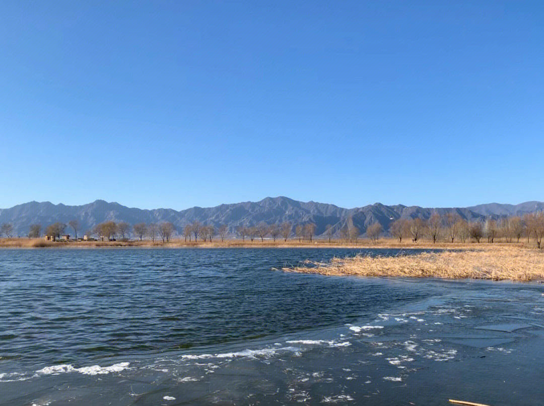 冬天的野鸭湖