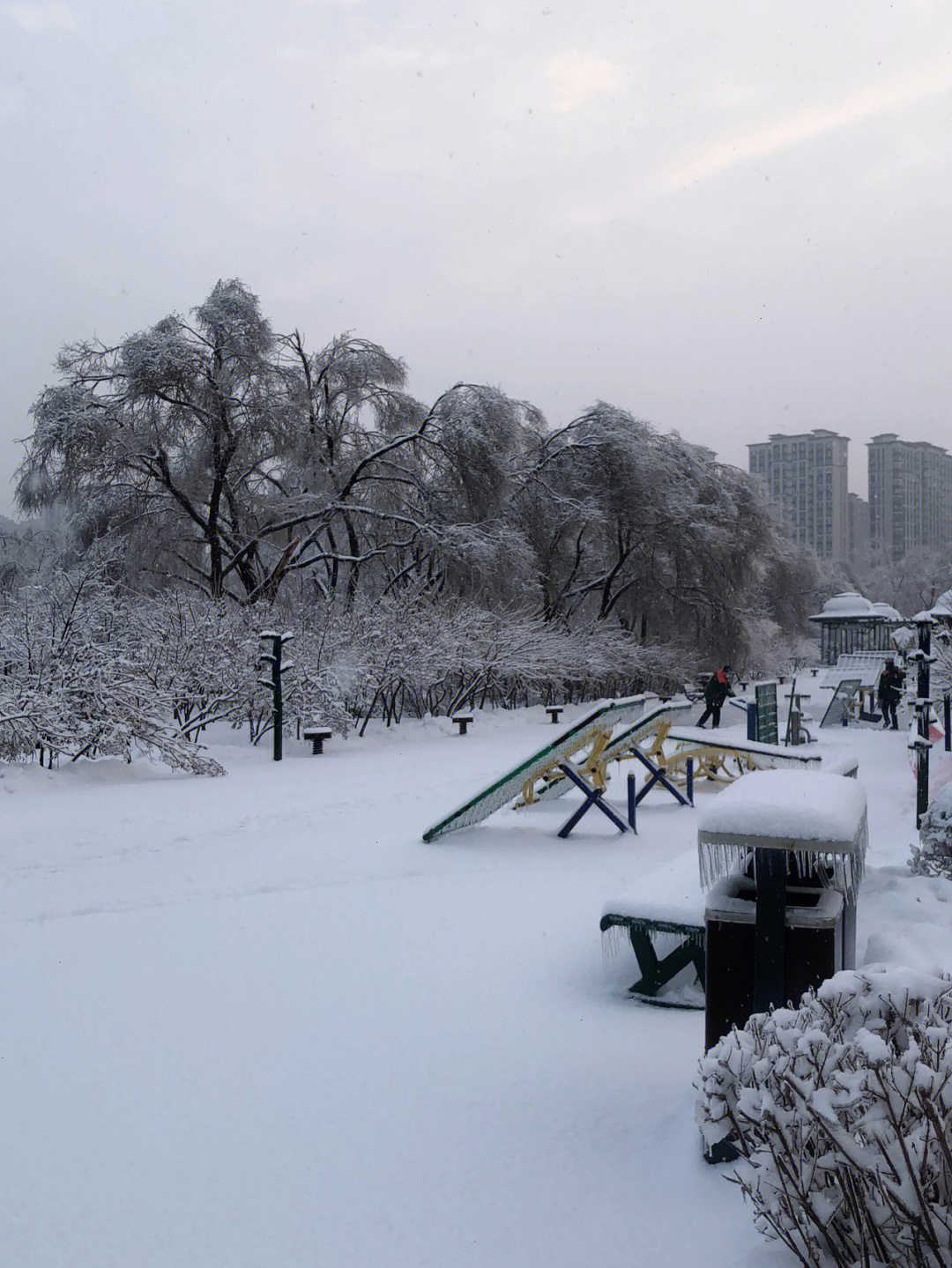 哈尔滨雪景真实照片图片