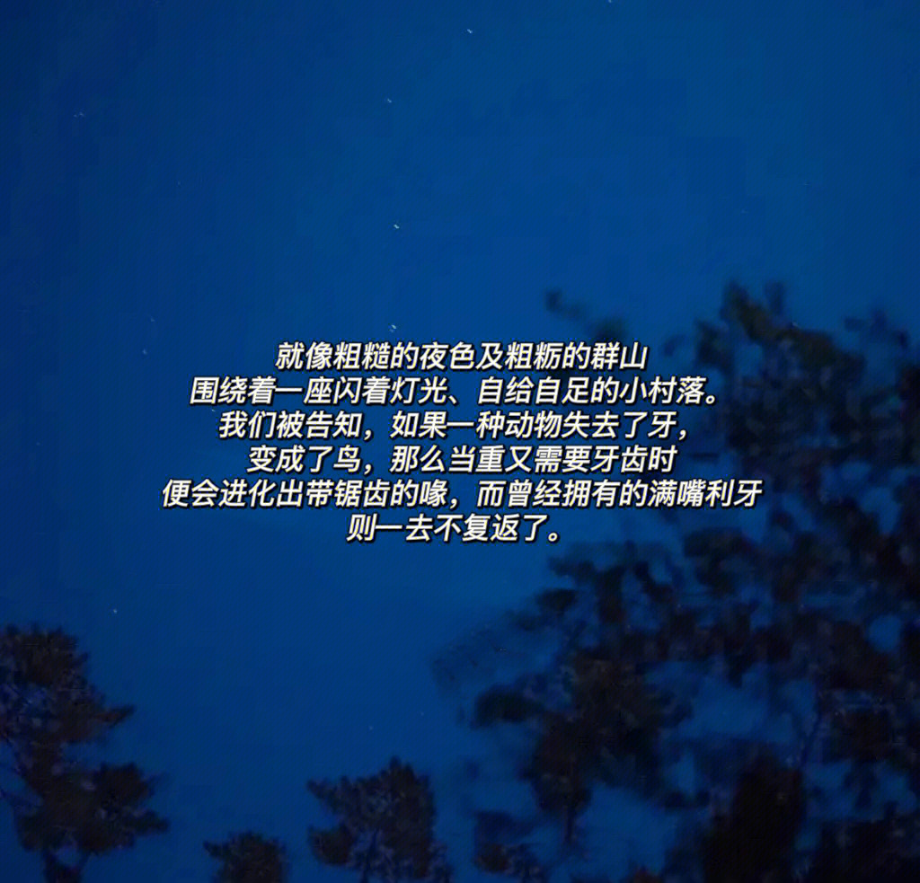 纳博科夫爱达不要温顺地走进那个良夜