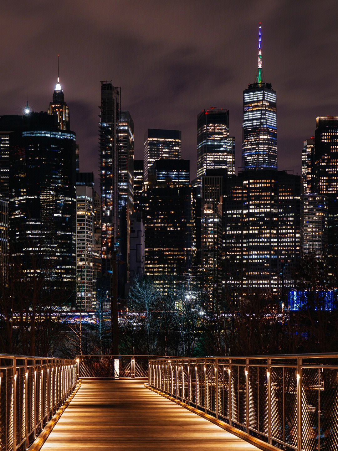 纽约曼哈顿下城区天际线夜景