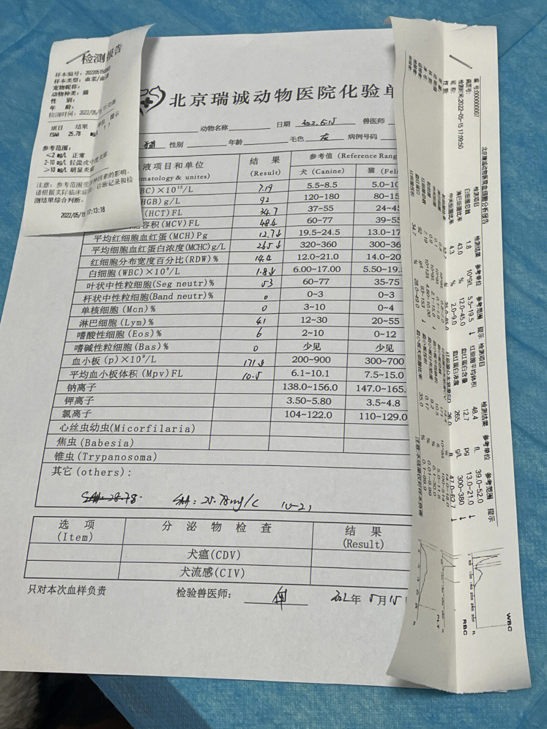 动物处方笺填写示例图片