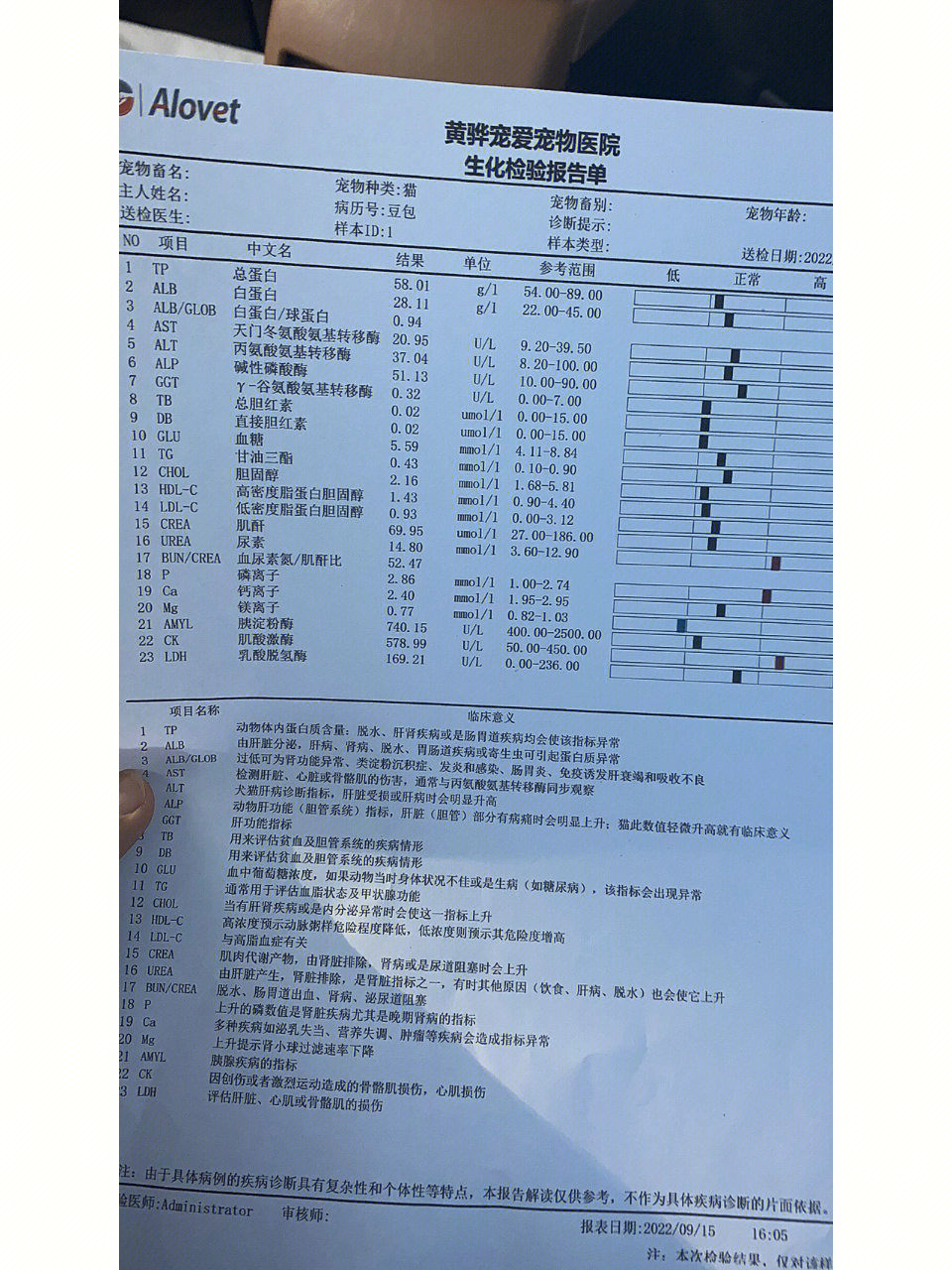 白球比1.42图片