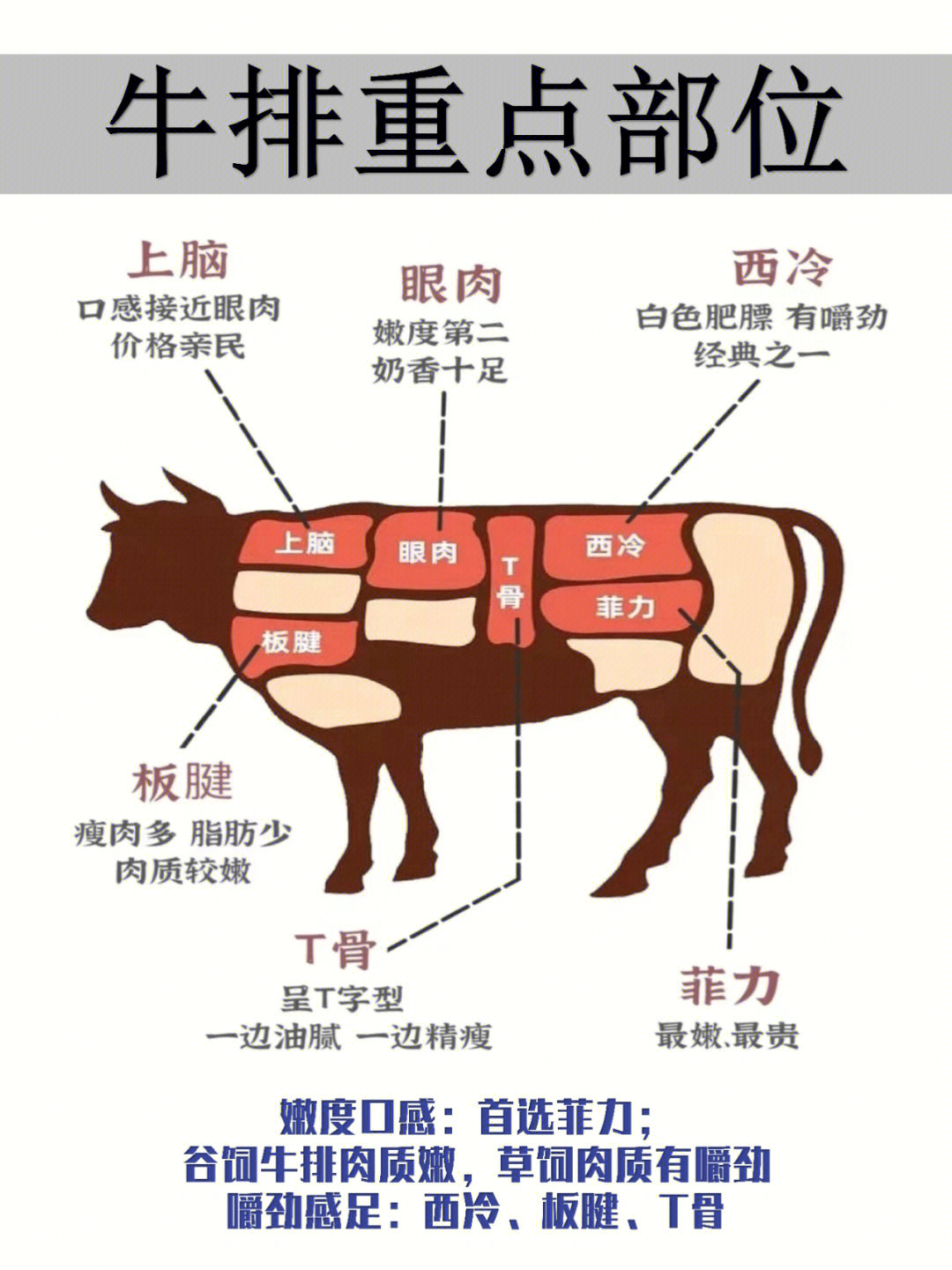 牛排的部位图解与吃法图片