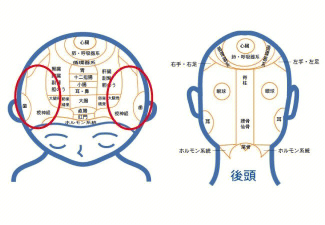 致睡眠不足的人缓解眼睛疲劳的头皮按摩法