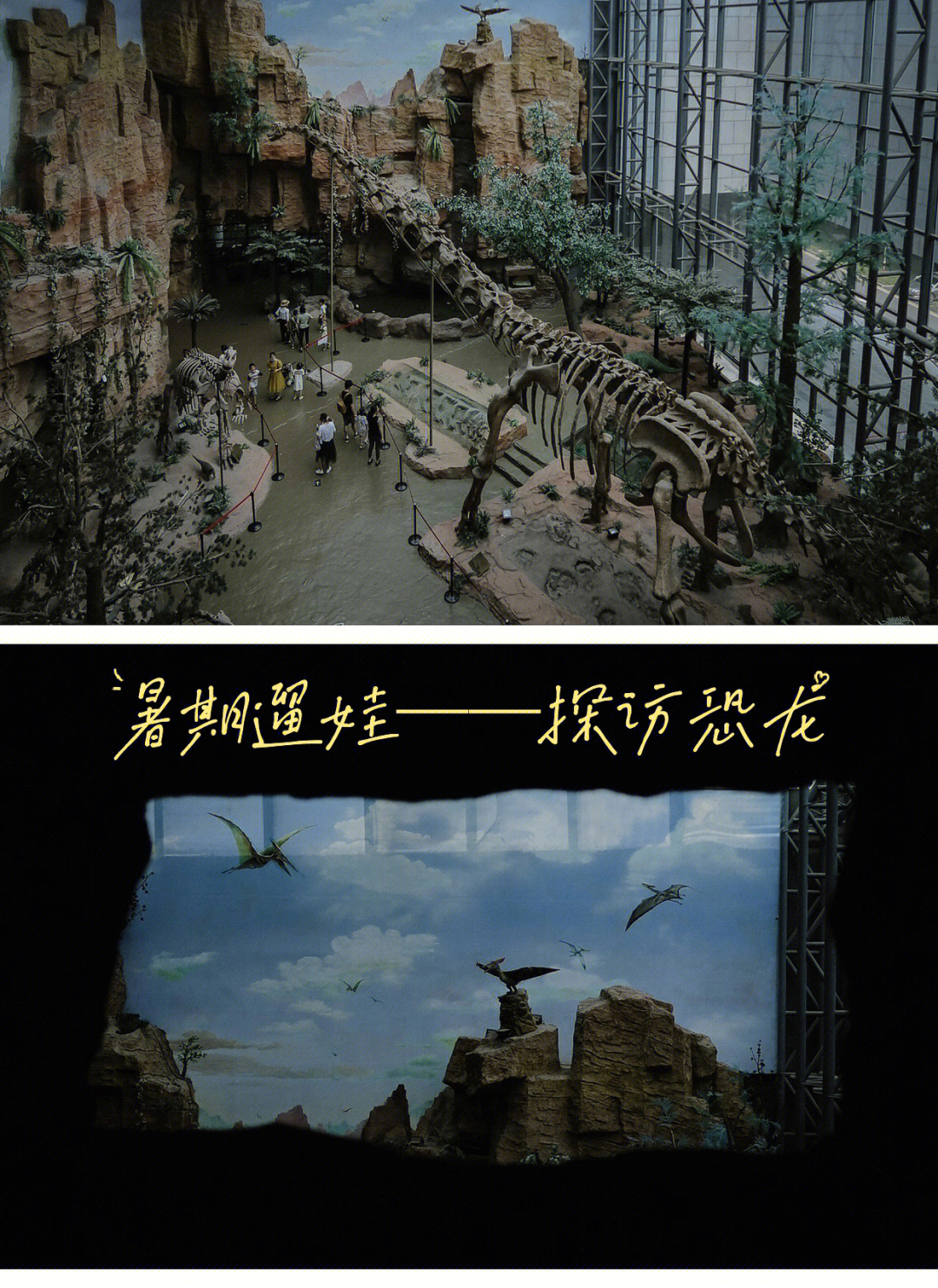 南京恐龙博物馆门票图片
