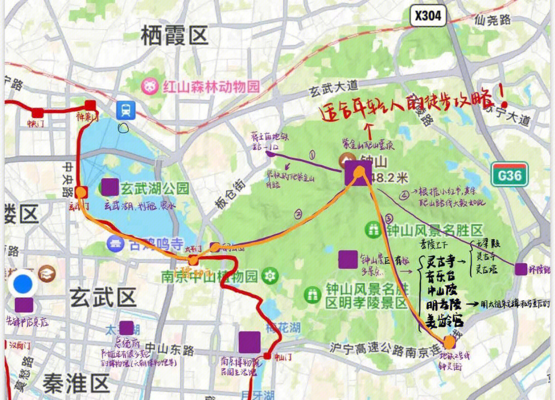 南京紫金山明城墙徒步路线首发