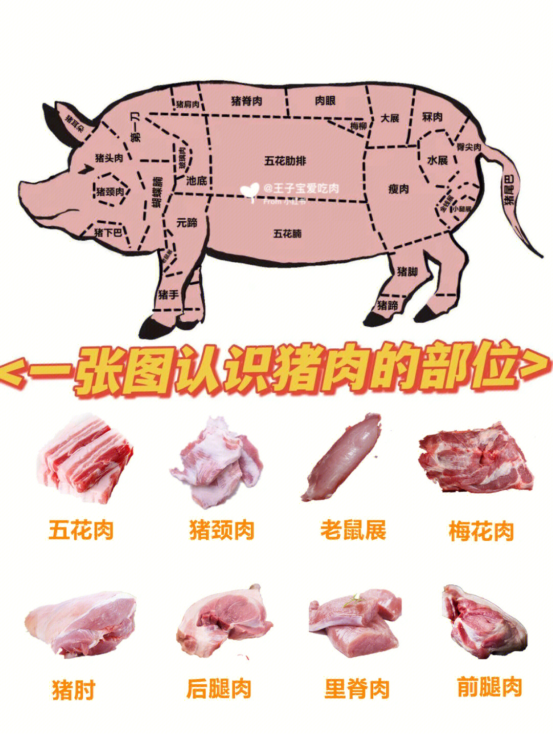 猪肉各个部位名称图解图片