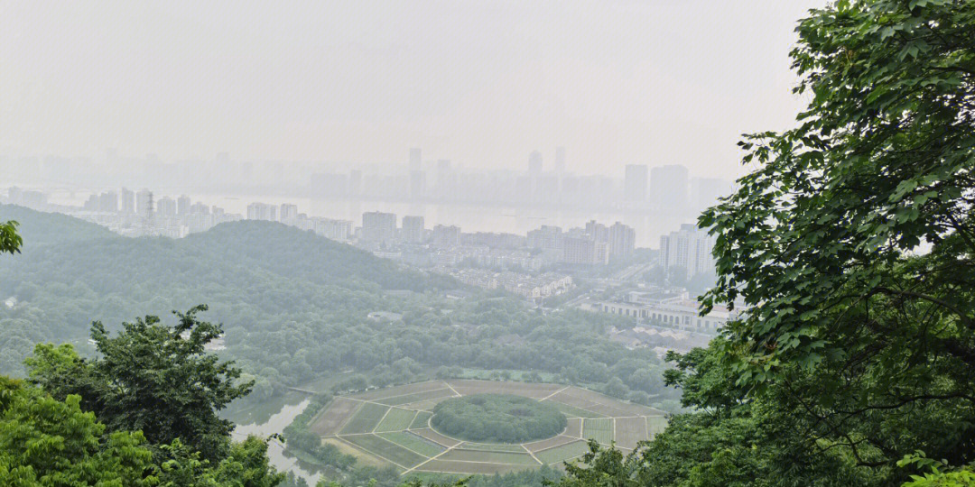 玉皇山爬上紫来洞,俯瞰八卦田,满眼绿色植物,全程2