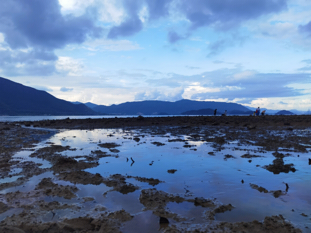 深圳坝光赶海咯