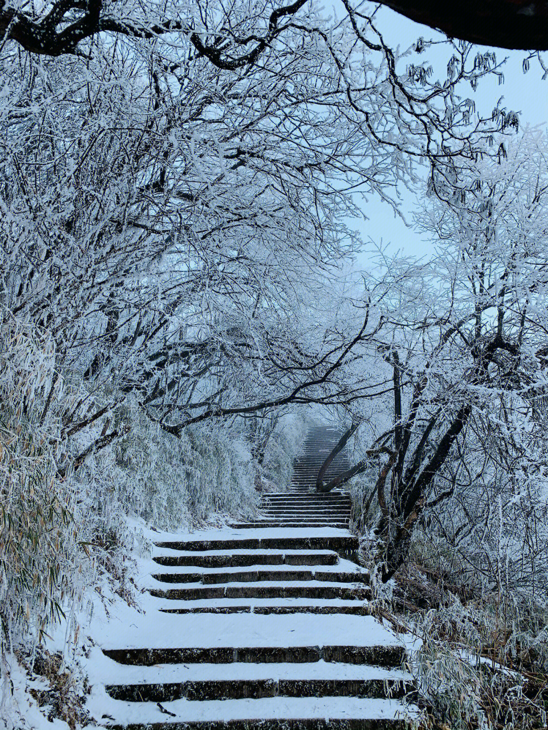 绵阳千佛山风景区图片