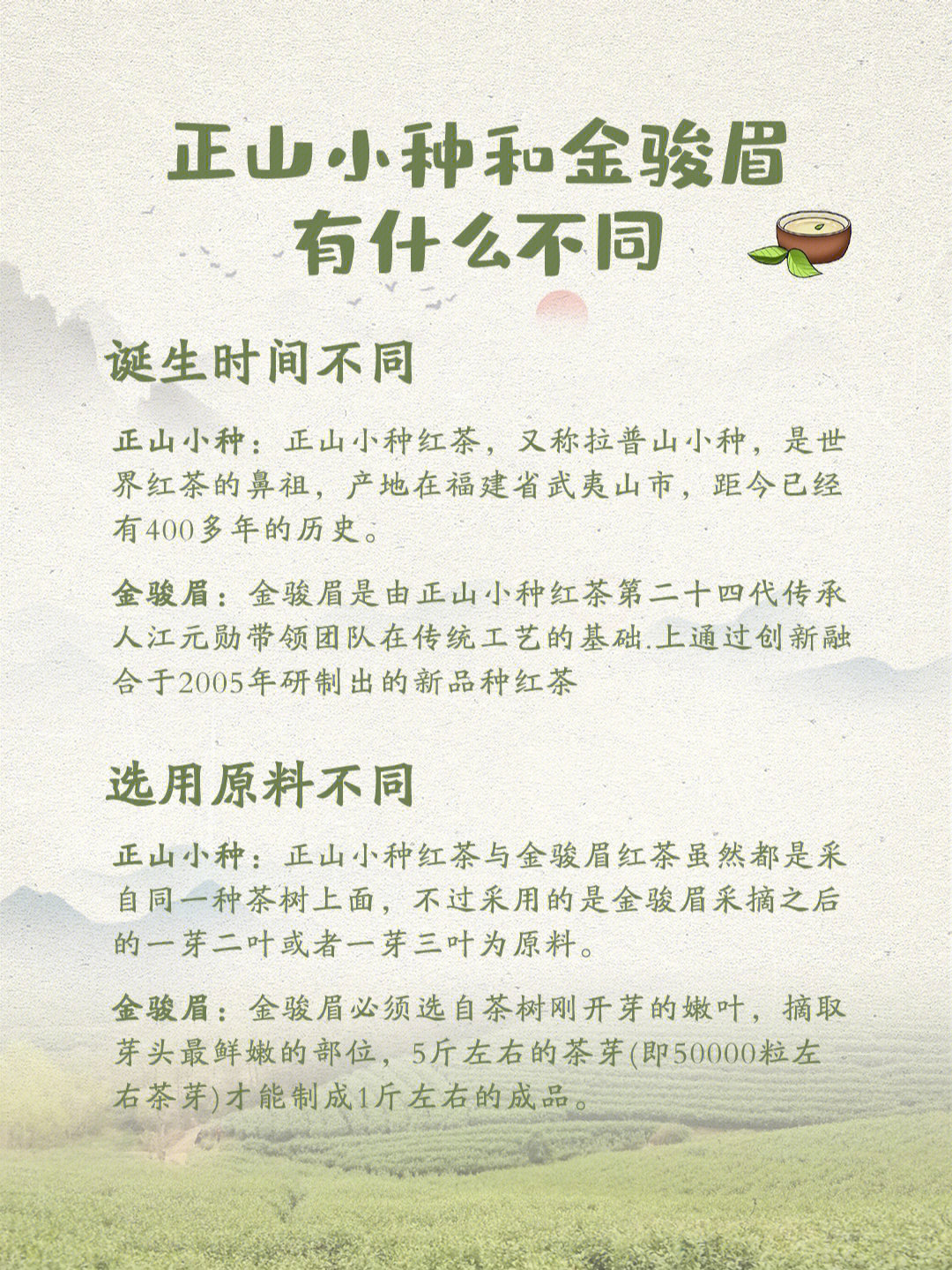 正山小种价目表图片