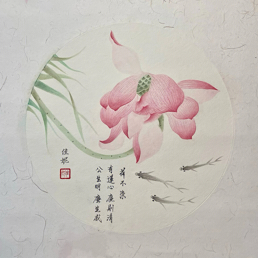 荷花画画一等奖作品图片