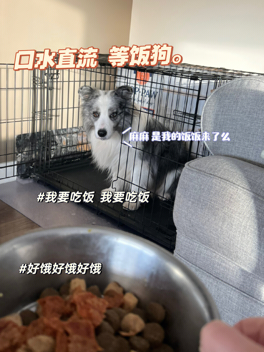 赫奇帕奇干饭卡表情包图片