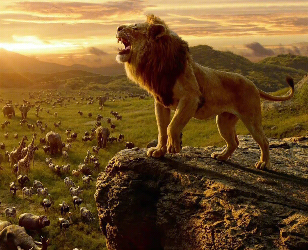 the lion king台词图片