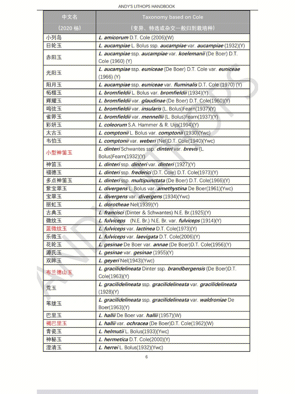 生石花名称图片