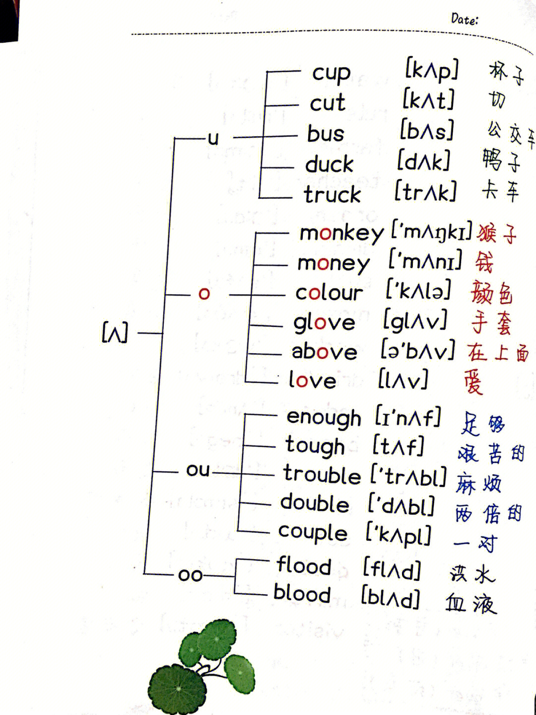 音标记单词666元音ɑ0905