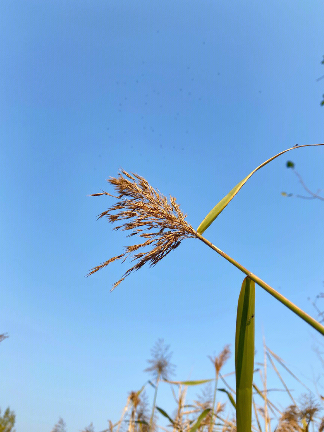 天气图片大全好心情图片