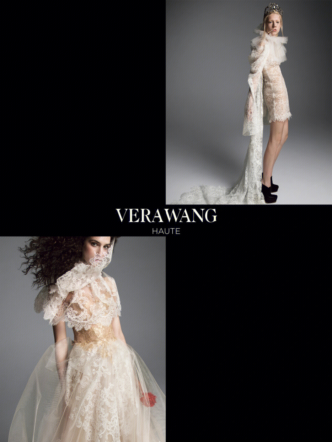 verawanglogo图片